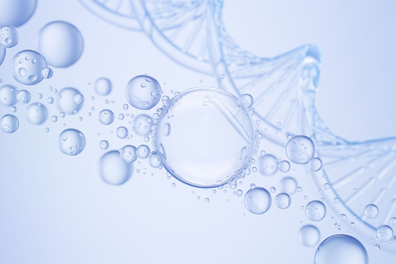 T-EGF (Teprenone-stabilised Epidermal Growth Factor)