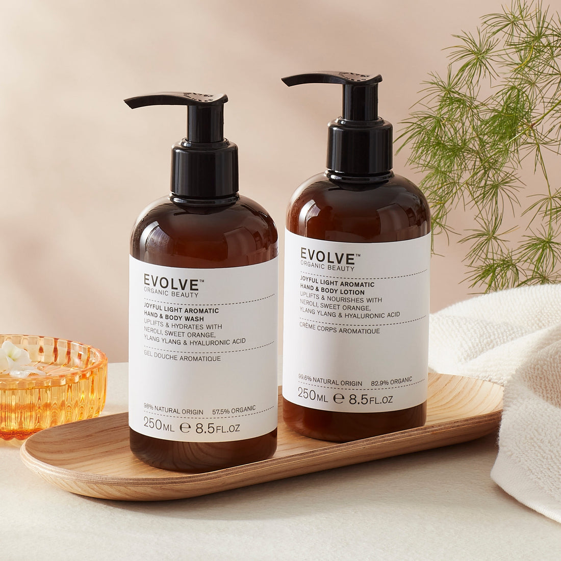 Evolve Organic Beauty Gift Set / Bundle Joyful Light Energy Duo
