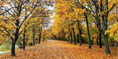 Autumn-Proof Your Skin