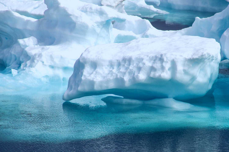 Antarcticine