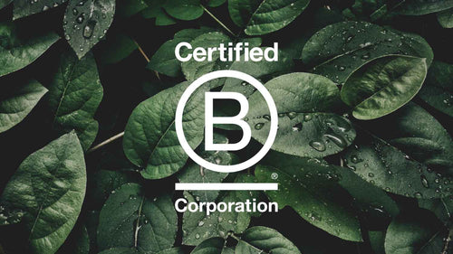 UK's greenest, most ethical