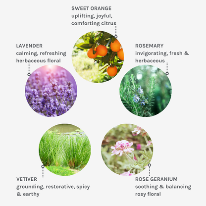 images and captions of the 5 key ingredients in the Pure Tranquility fragrance blend including Sweet Orange, Rosemary, Lavender, Rose Geranium and Vetiver.