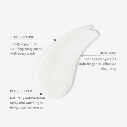 Evolve Organic Beauty Body Wash African Orange Aromatic Hand &amp; Body Wash