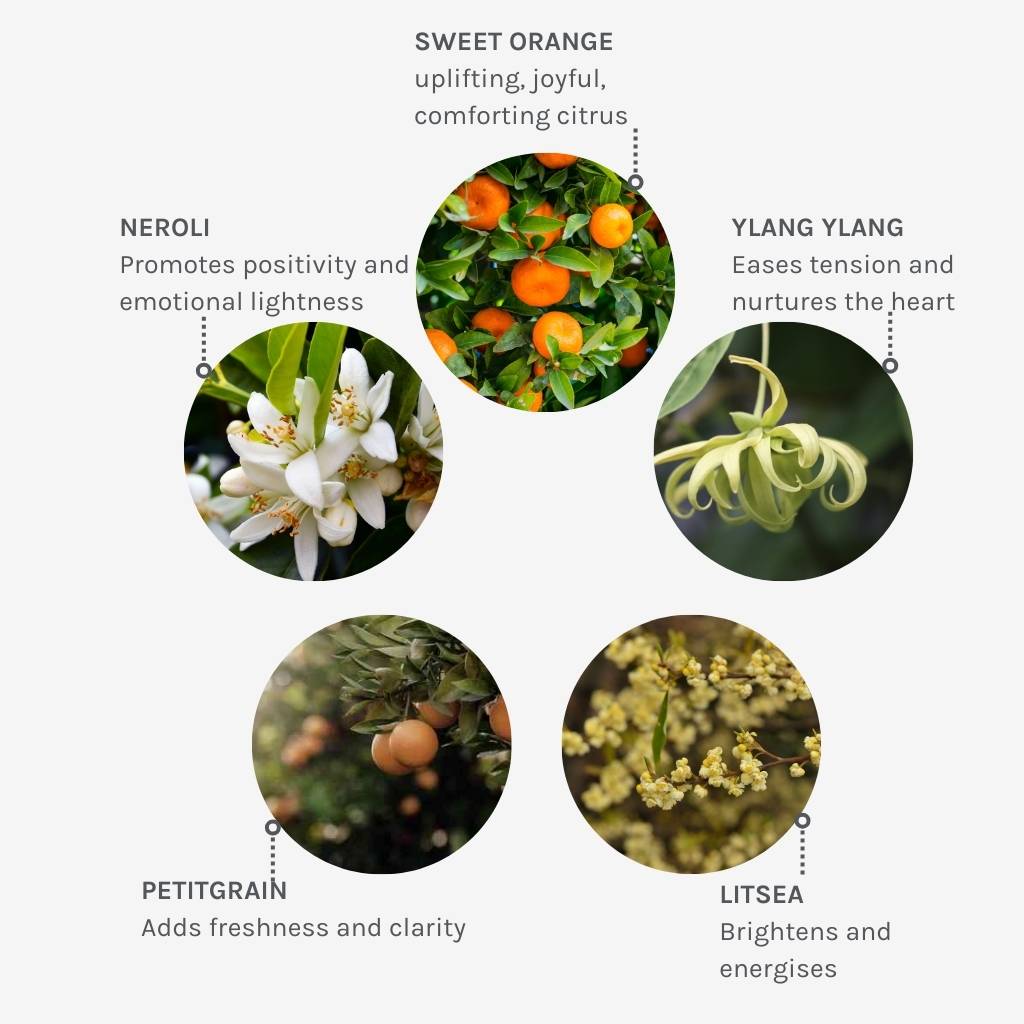 Evolve Organic Beauty Body Wash Joyful Light Aromatic Hand &amp; Body Wash