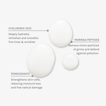 Evolve Organic Beauty Cleanser Deep Clean Micellar Water