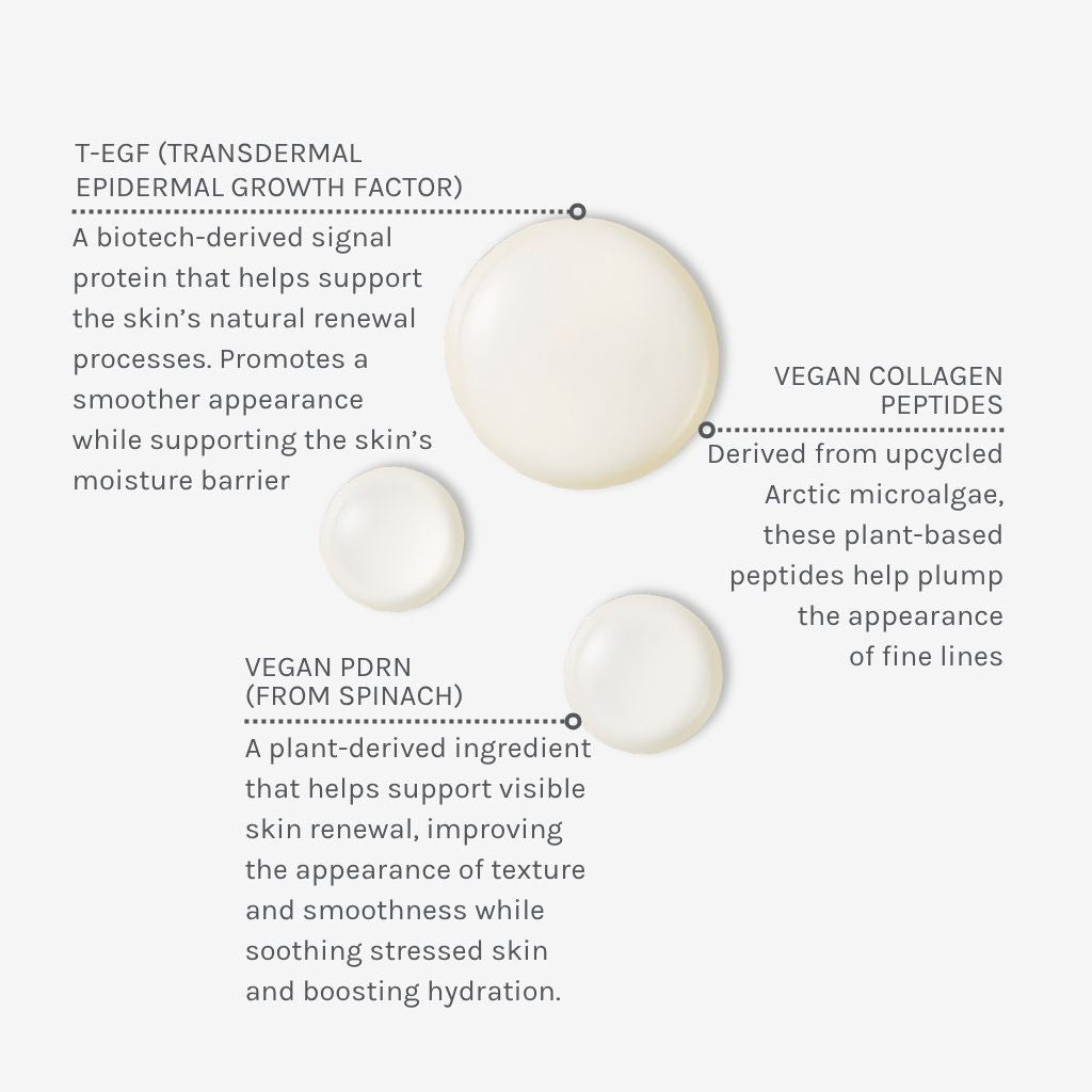 Evolve Organic Beauty Face Serum EGF + Collagen Renewal Booster