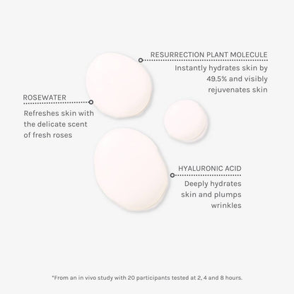 Evolve Organic Beauty Toner Age Defying Hydrating Face Mist