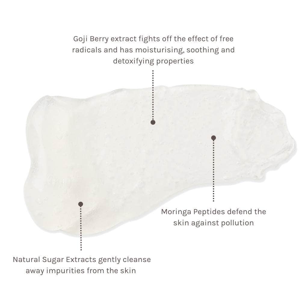 Evolve Organic Beauty Outlet Daily Detox Facial Wash - Outlet