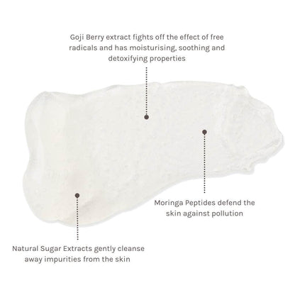 Evolve Organic Beauty Outlet Daily Detox Facial Wash - Outlet