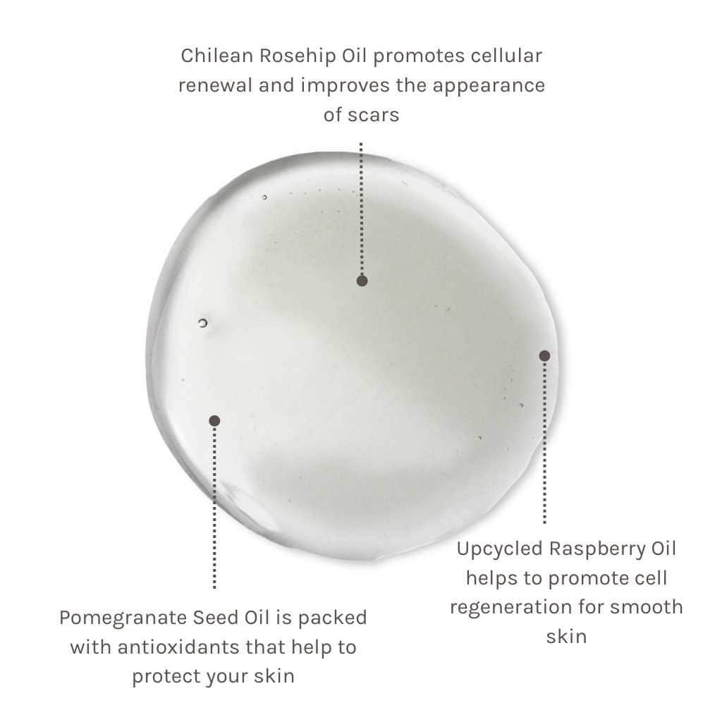 Evolve Organic Beauty Outlet Super Berry Body Oil - Outlet