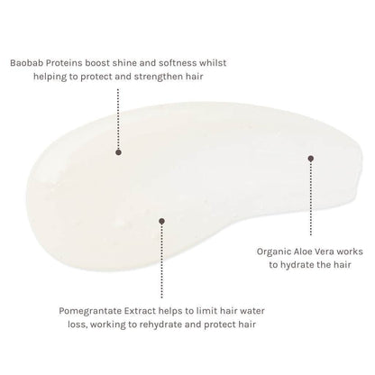 Evolve Organic Beauty Shampoo Superfood Shine Natural Shampoo - Outlet