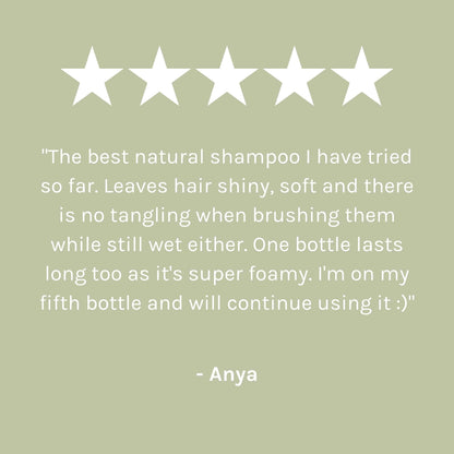 Evolve Organic Beauty Shampoo Superfood Shine Natural Shampoo - Outlet